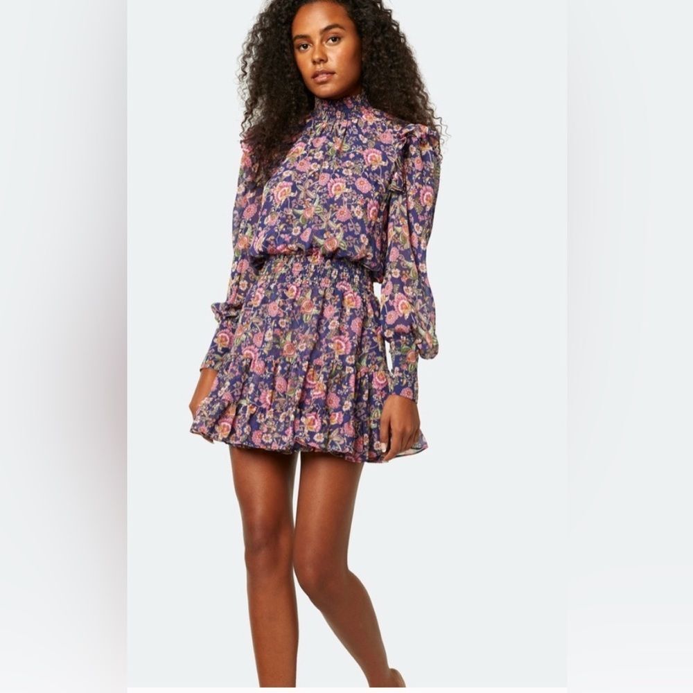 MISA Los Angeles Gionna Floral Romantic soft Long Sleeve ruffled Dress. XS.